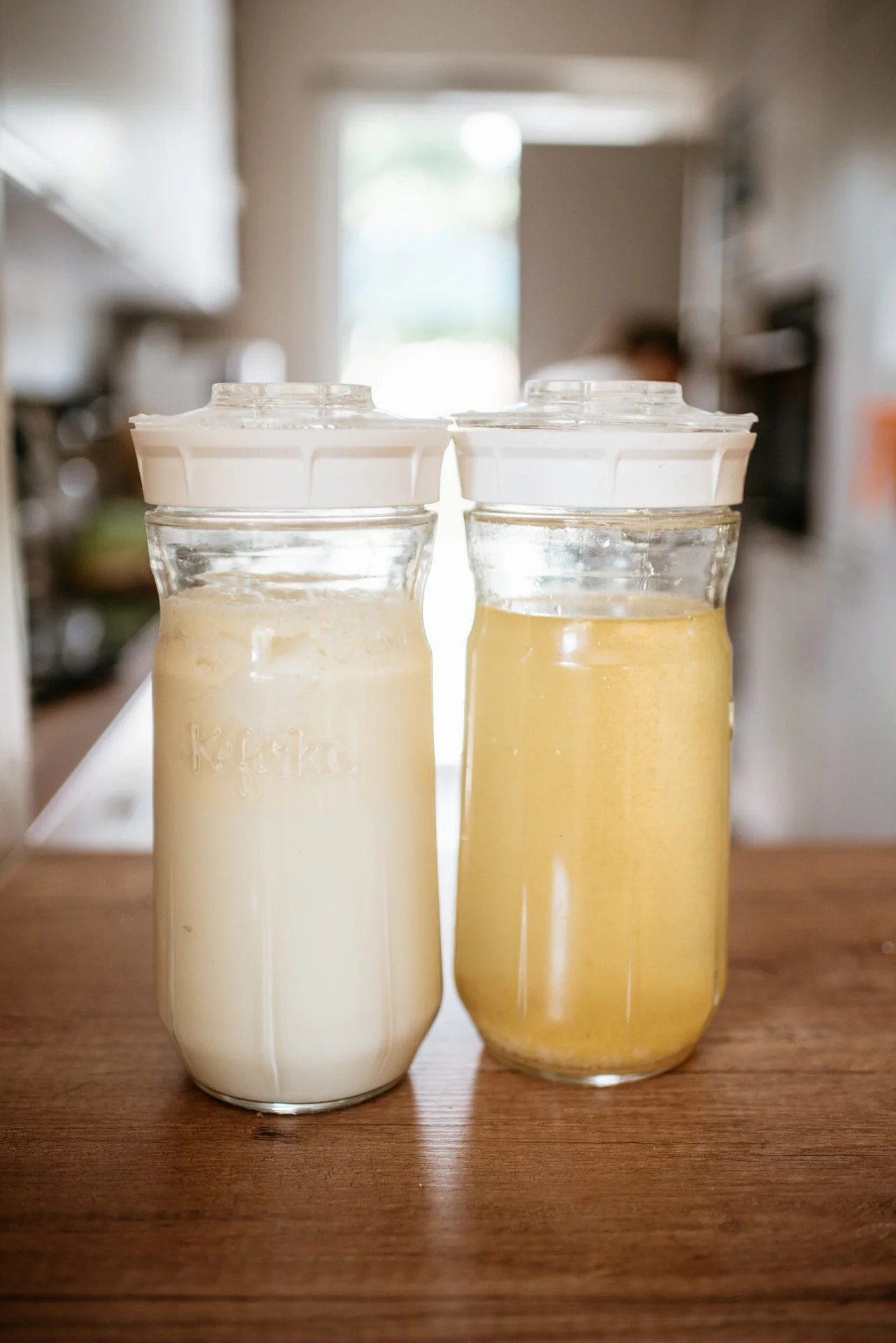 Kéfir et aliments fermentés pour soutenir le microbiote intestinal